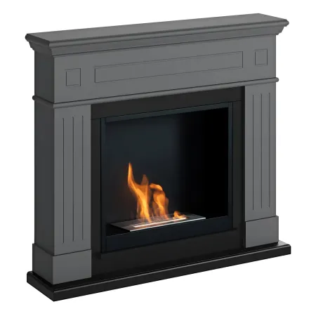 Camino TAGU a Bioetanolo Larsen FreeFlame Grigio Fiamma Reale