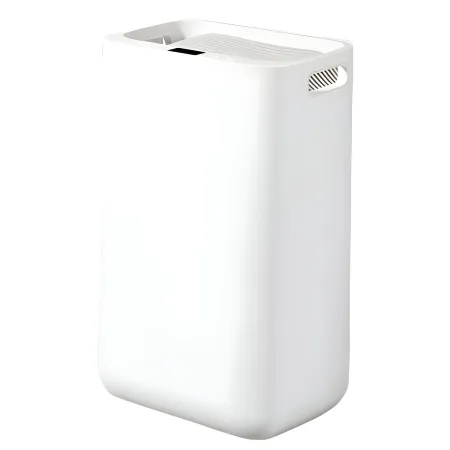 Deumidificatore 25L/24h Depuratore Portatile HEPA Ionizzatore Timer