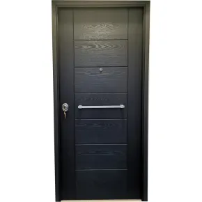 Porta blindata 90x210 da esterno in vetroresina grigia maniglione incluso 2