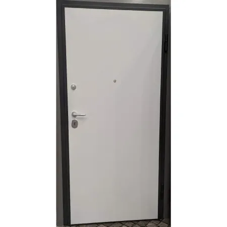 Porta blindata 90x210 da esterno in vetroresina grigia maniglione incluso