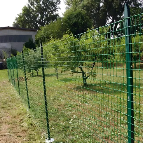 10 Paletti per Recinzione Alti 200 cm in Ferro Verde per Rete Metallica
