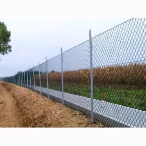 10 Paletti Recinzione in Ferro Zincato 250cm Pali a T per Terreni 2