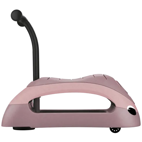 Cavalcabile per Bambini Girello Ride On 100% Ecologico Cocco 20 kg