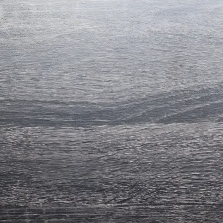 Scarpiera 2 Ante a Ribalta Slim Salvaspazio Legno Grigio Scuro Moderno