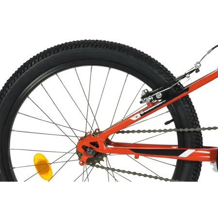 Bicicletta 20 Pollici Cambio Shimano 6 Velocità Telaio Acciaio Rosso