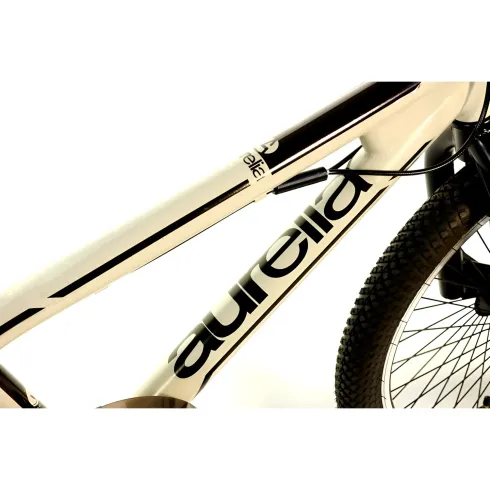 Bicicletta Freestyle 20" Nero Beige per Bambini Ragazzi Acciaio Hi-Ten