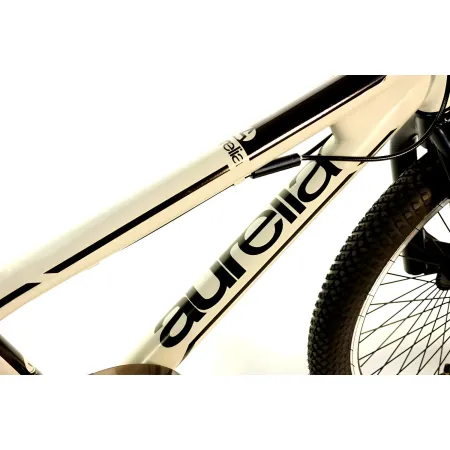 Bicicletta Freestyle 20" Nero Beige per Bambini Ragazzi Acciaio Hi-Ten