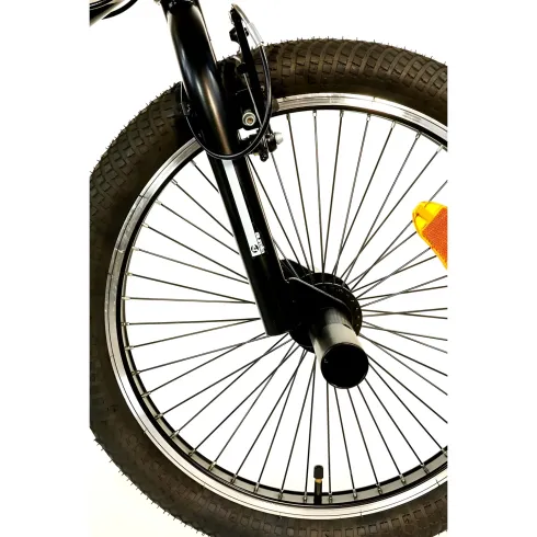 Bicicletta Freestyle 20" Nero Beige per Bambini Ragazzi Acciaio Hi-Ten