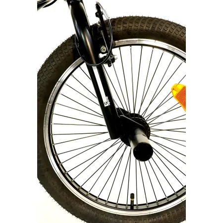 Bicicletta Freestyle 20" Nero Beige per Bambini Ragazzi Acciaio Hi-Ten