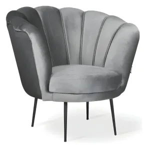 Poltroncina Poltrona a Conchiglia in Velluto Grigio da Ufficio Salotto Camera