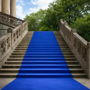 Tappeto Moquette 1x30 m Blu Passatoia Antiscivolo da Esterno Interno 2