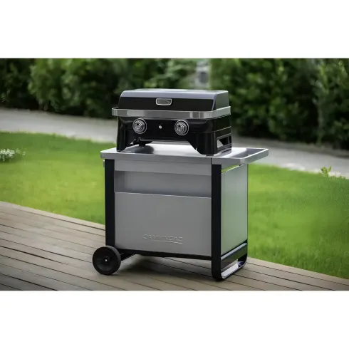 Carrello Barbecue Acciaio Pieghevole 120x63x73 cm Compatibile Ruote