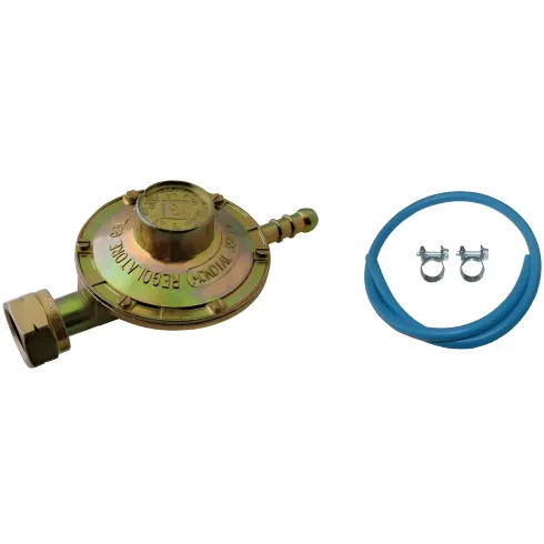 Kit Tubo Gas 50 cm Regolatore Fisso per Stufa GPL con Fascette
