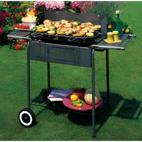 Giardino Barbecue Carbonella Legna Carbone Carrello Griglia Grigliata Terrazzo 2