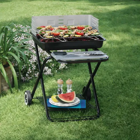 Barbecue Carbonella Acciaio Pieghevole Grigliate Carne Giardino Esterno Terrazzo