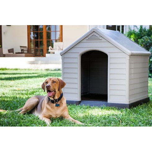 Cuccia per Cani Keter Taglia Grande Dog House in Resina