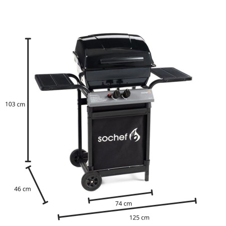 Barbecue a Gas con Pietra Lavica 2 Bruciatori in Acciaio Inox Griglia da Balcone | BricoShop24