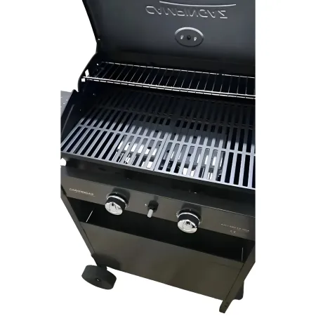 Barbecue a Gas con doppia Griglia di cottura e Forno Laterale