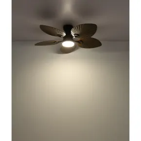 Ventilatore Soffitto con Luce Regolabile Nero Marrone 22W Telecomando 2
