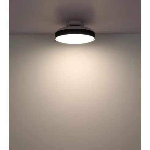 Ventilatore da Soffitto Plafoniera LED Dimmerabile 45 cm Bianco Nero
