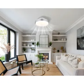 Ventilatore da Soffitto Plafoniera LED Dimmerabile 45 cm Bianco Argento 2