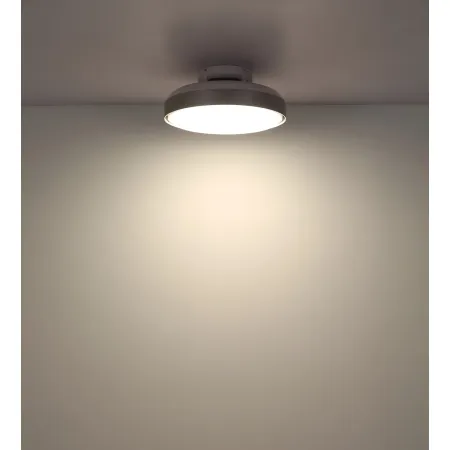 Ventilatore da Soffitto Plafoniera LED Dimmerabile 45 cm Bianco Argento