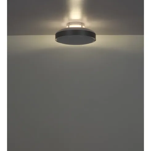 Ventilatore da Soffitto Plafoniera LED Dimmerabile 45 cm Bianco Argento