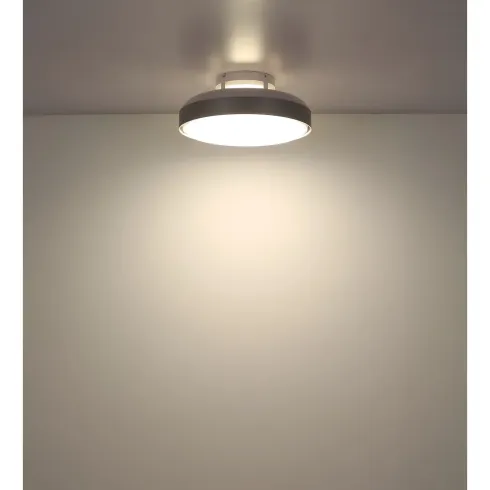 Ventilatore da Soffitto Plafoniera LED Dimmerabile 45 cm Bianco Argento