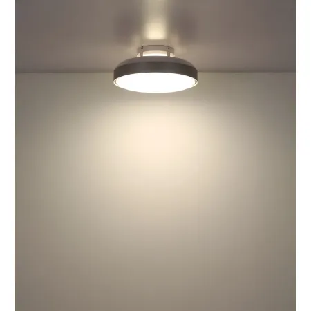 Ventilatore da Soffitto Plafoniera LED Dimmerabile 45 cm Bianco Argento