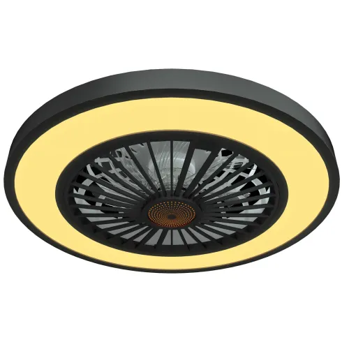 Ventilatore da Soffitto con Luce 54 cm Nero Telecomando Luce Notturna