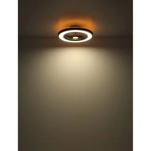 Ventilatore da Soffitto con Luce 54 cm Nero Telecomando Luce Notturna
