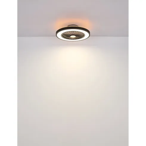 Ventilatore da Soffitto con Luce 54 cm Nero Telecomando Luce Notturna