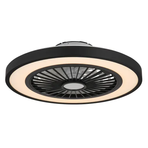 Ventilatore da Soffitto con Luce 54 cm Nero Telecomando Luce Notturna