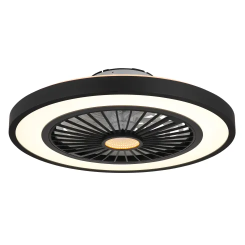 Ventilatore da Soffitto con Luce 54 cm Nero Telecomando Luce Notturna