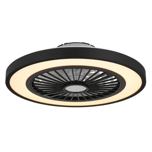 Ventilatore da Soffitto con Luce 54 cm Nero Telecomando Luce Notturna