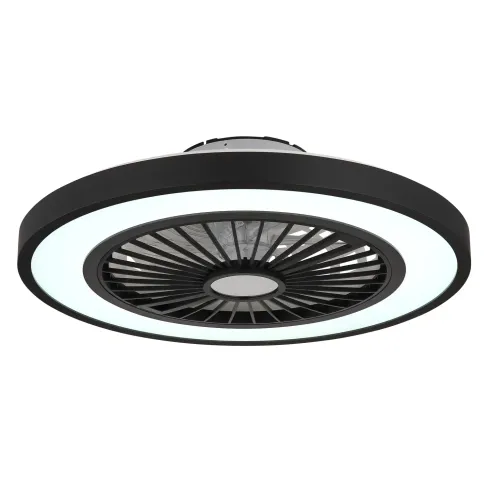 Ventilatore da Soffitto con Luce 54 cm Nero Telecomando Luce Notturna