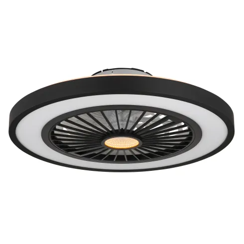 Ventilatore da Soffitto con Luce 54 cm Nero Telecomando Luce Notturna