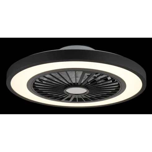 Ventilatore da Soffitto con Luce 54 cm Nero Telecomando Luce Notturna