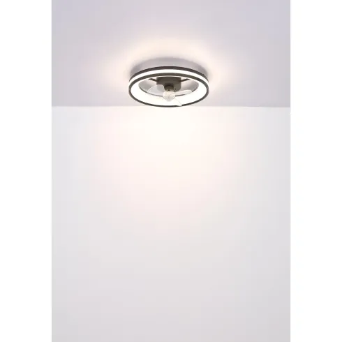 Ventilatore Soffitto con Luce LED Dimmerabile Nero 3 Pale Trasparenti