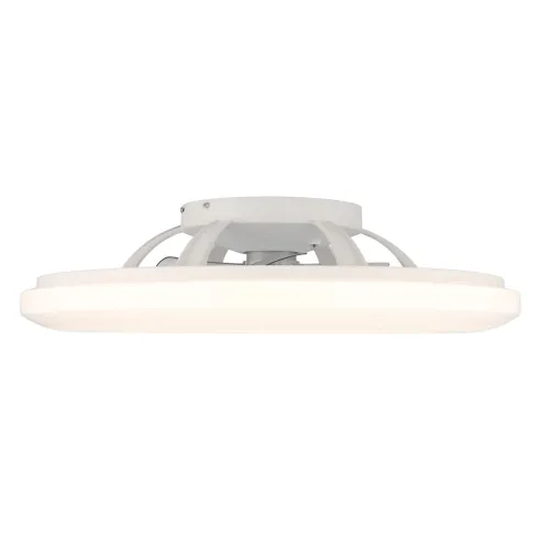 Ventilatore da Soffitto con Nero Bianco 60 cm LED RGB Telecomando