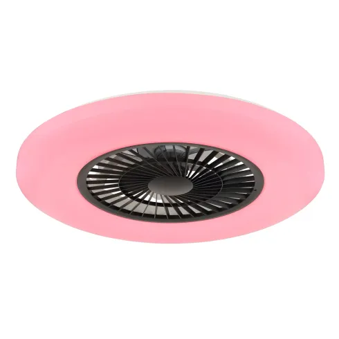 Ventilatore da Soffitto con Nero Bianco 60 cm LED RGB Telecomando