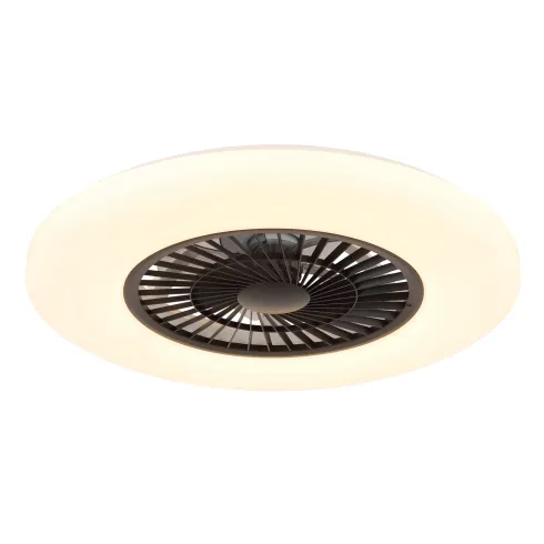 Ventilatore da Soffitto con Nero Bianco 60 cm LED RGB Telecomando