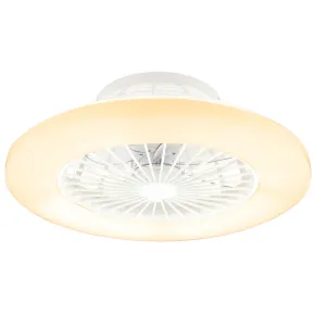 Ventilatore da Soffitto con Luce in Metallo Bianco 50 cm Telecomando