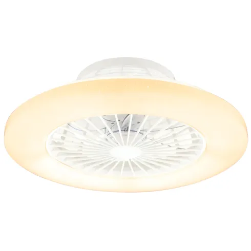 Ventilatore da Soffitto con Luce in Metallo Bianco 50 cm Telecomando