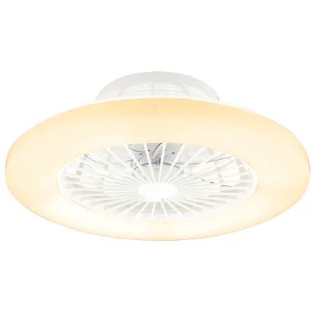 Ventilatore da Soffitto con Luce in Metallo Bianco 50 cm Telecomando