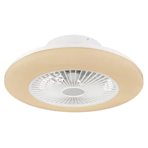 Ventilatore da Soffitto con Luce in Metallo Bianco 50 cm Telecomando
