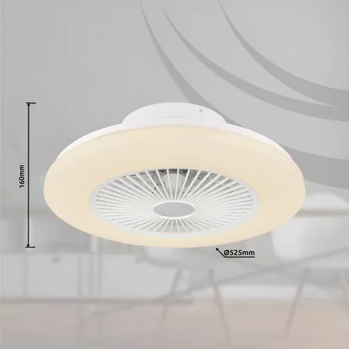 Ventilatore da Soffitto con Luce in Metallo Bianco 50 cm Telecomando