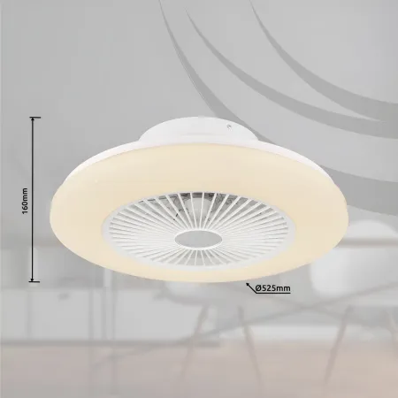 Ventilatore da Soffitto con Luce in Metallo Bianco 50 cm Telecomando