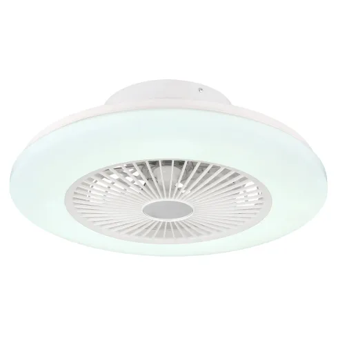 Ventilatore da Soffitto con Luce in Metallo Bianco 50 cm Telecomando