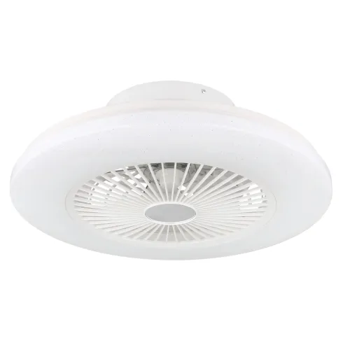 Ventilatore da Soffitto con Luce in Metallo Bianco 50 cm Telecomando